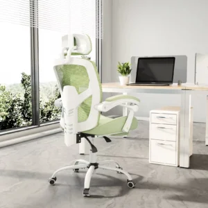 Ergonomic Reclining Gaming Chair